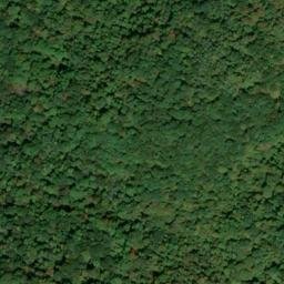 Satellite imagery of Bethel Ridge, US