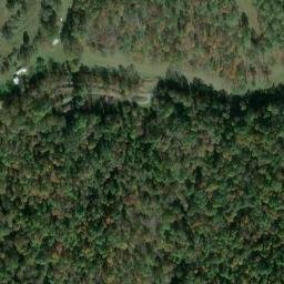Satellite imagery of F 137 — NGS JX0425 — Tyler County, US, US