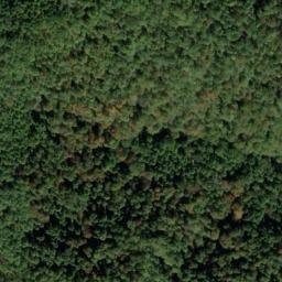 Satellite imagery of E 137 — NGS JX0424 — Tyler County, US, US