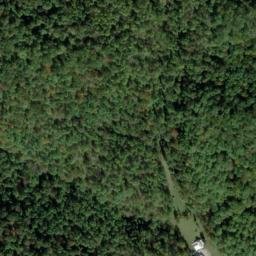 Satellite imagery of E 137 — NGS JX0424 — Tyler County, US, US