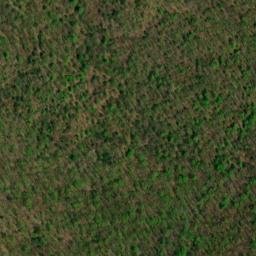 Satellite imagery of Bird Ridge, US