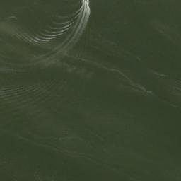 Satellite imagery of Long Point, US