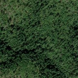 Satellite imagery of Bell Point, US