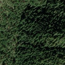 Satellite imagery of Bell Point, US