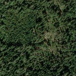 Satellite imagery of Palmer Ridge, US