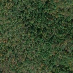 Satellite imagery of H 137 — NGS JX0427 — Tyler County, US, US