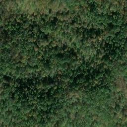 Satellite imagery of H 137 — NGS JX0427 — Tyler County, US, US