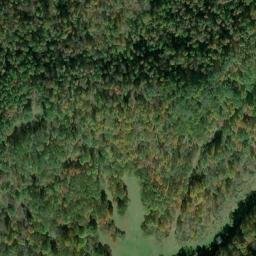 Satellite imagery of F 137 — NGS JX0425 — Tyler County, US, US