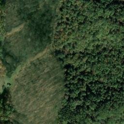 Satellite imagery of F 137 — NGS JX0425 — Tyler County, US, US