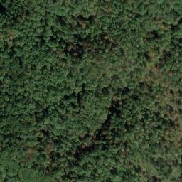 Satellite imagery of F 137 — NGS JX0425 — Tyler County, US, US