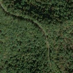 Satellite imagery of X 136 — NGS JX0400 — Tyler County, US, US
