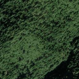 Satellite imagery of Sixteen to One Mine, US