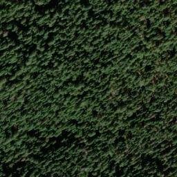 Satellite imagery of Palmer Ridge, US