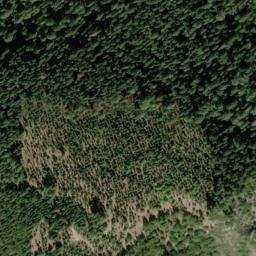 Satellite imagery of Palmer Ridge, US