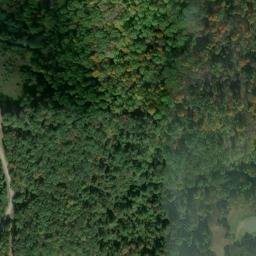 Satellite imagery of BEAGLE — NGS JX1966 — Tyler County, US, US