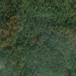 Satellite imagery of V 135 — NGS JX0420 — Tyler County, US, US