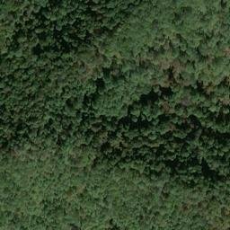 Satellite imagery of X 136 — NGS JX0400 — Tyler County, US, US