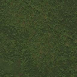 Satellite imagery of Brier Ridge, US
