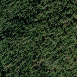 Satellite imagery of Independence Point, US