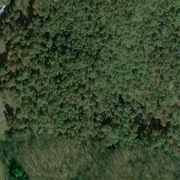 Satellite imagery of Y 136 — NGS JX0401 — Tyler County, US, US