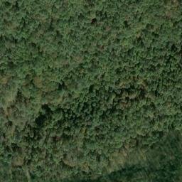Satellite imagery of Y 136 — NGS JX0401 — Tyler County, US, US