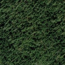 Satellite imagery of Independence Point, US