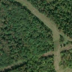 Satellite imagery of X 135 — NGS JX0418 — Tyler County, US, US