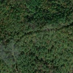 Satellite imagery of BOOHER — NGS JX1960 — Tyler County, US, US
