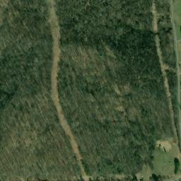 Satellite imagery of Y 136 — NGS JX0401 — Tyler County, US, US