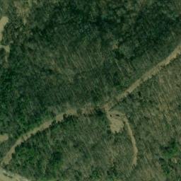 Satellite imagery of Y 136 — NGS JX0401 — Tyler County, US, US