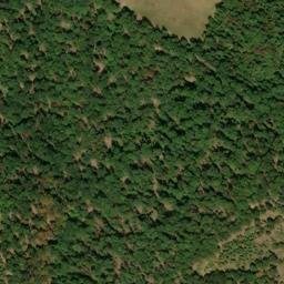 Satellite imagery of Buck Ridge, US