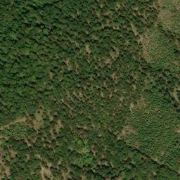 Satellite imagery of Buck Ridge, US