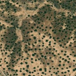 Satellite imagery of survey_point, PT