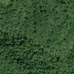 Satellite imagery of Bean Ridge, US