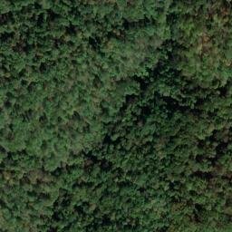 Satellite imagery of K 135 — NGS JX0335 — Tyler County, US, US