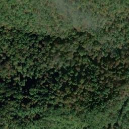 Satellite imagery of BOOHER — NGS JX1960 — Tyler County, US, US