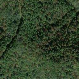 Satellite imagery of BOOHER — NGS JX1960 — Tyler County, US, US