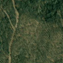 Satellite imagery of Z 136 — NGS JX0402 — Tyler County, US, US