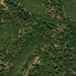 Satellite imagery of Buck Ridge, US