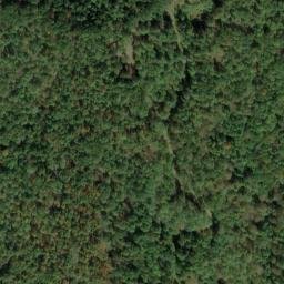 Satellite imagery of M 137 — NGS JX0430 — Tyler County, US, US