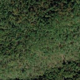 Satellite imagery of BOOHER — NGS JX1960 — Tyler County, US, US