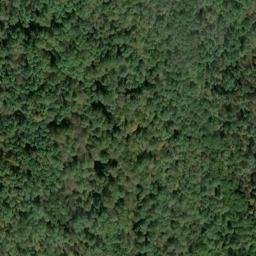 Satellite imagery of BOOHER — NGS JX1960 — Tyler County, US, US