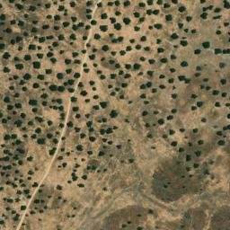 Satellite imagery of survey_point, PT