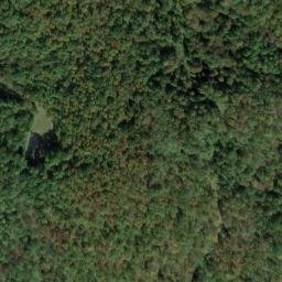 Satellite imagery of L 137 — NGS JX0431 — Tyler County, US, US