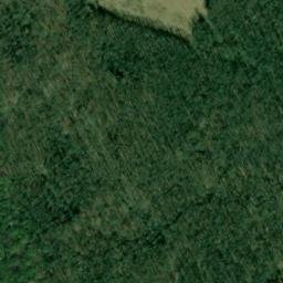 Satellite imagery of Swan Neck, US