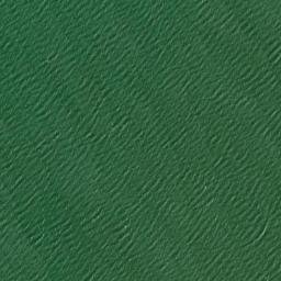 Satellite imagery of Turkey Point, US