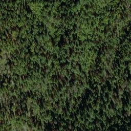 Satellite imagery of Alaska Mine, US