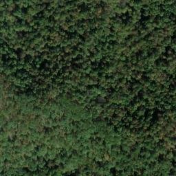 Satellite imagery of L 137 — NGS JX0431 — Tyler County, US, US