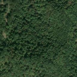 Satellite imagery of Z 135 — NGS JX0416 — Tyler County, US, US