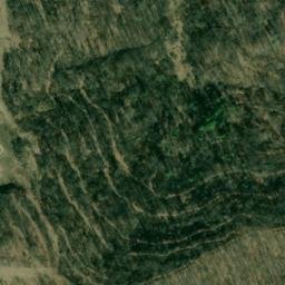 Satellite imagery of ALVY — NGS JX1940 — Tyler County, US, US
